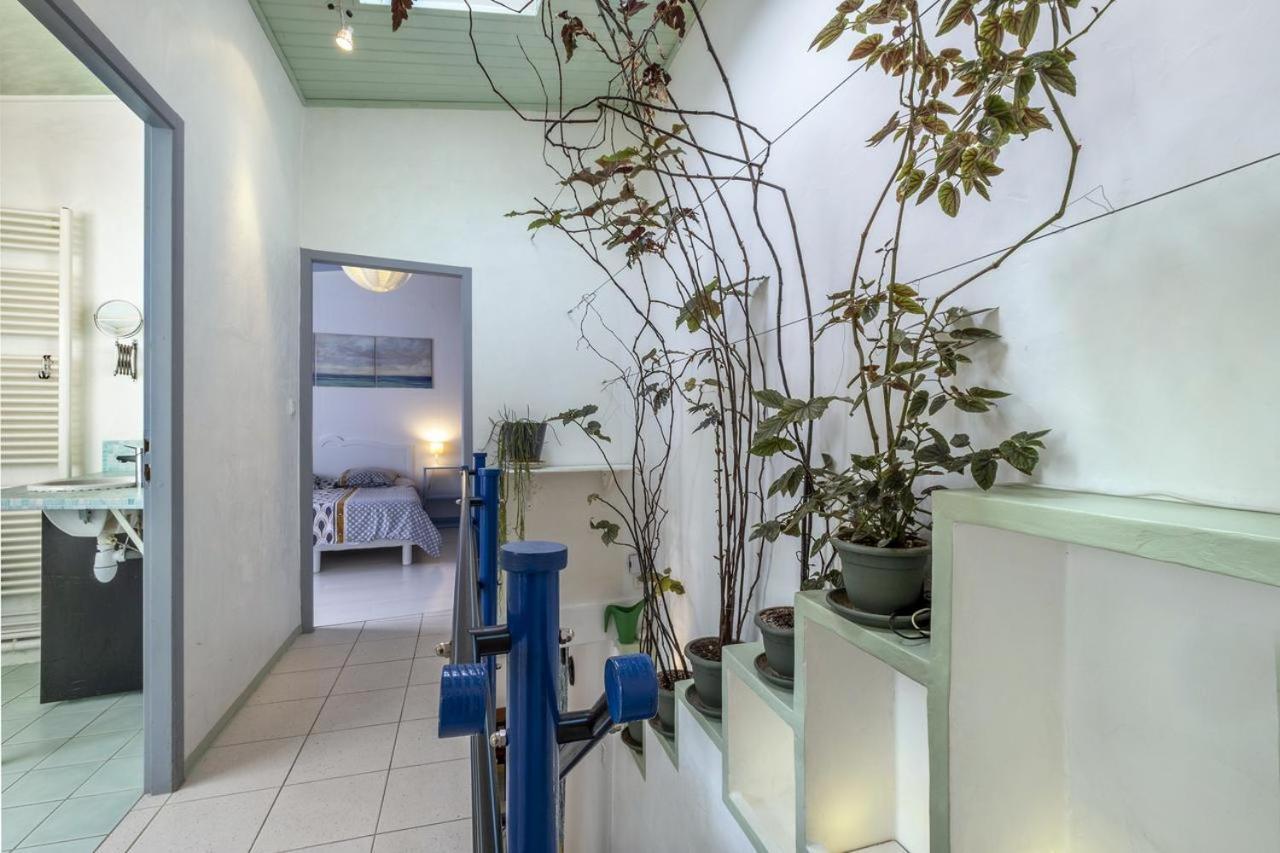 Les Volets Bleus T3 De 80 M2 Patio Privatif Daire Rochefort  Dış mekan fotoğraf